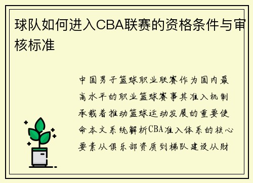 球队如何进入CBA联赛的资格条件与审核标准